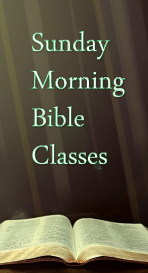 Website Sidebar Bible