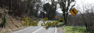 winding road sign reversed