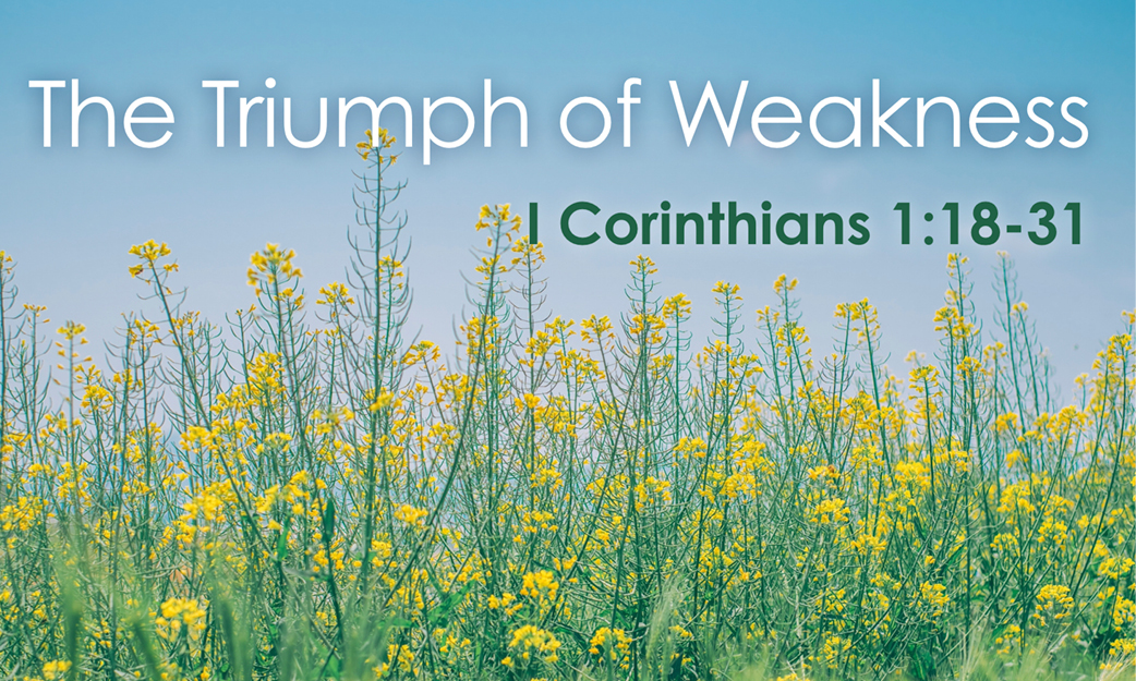 August 27 2023 Rowandale Baptist Church